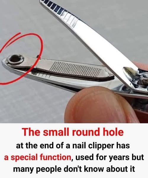 The Small Round Hole at the End of Nail Clippers