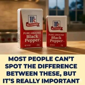 Black Pepper Types and How to Identify Quality Spices in Your Kitchen
